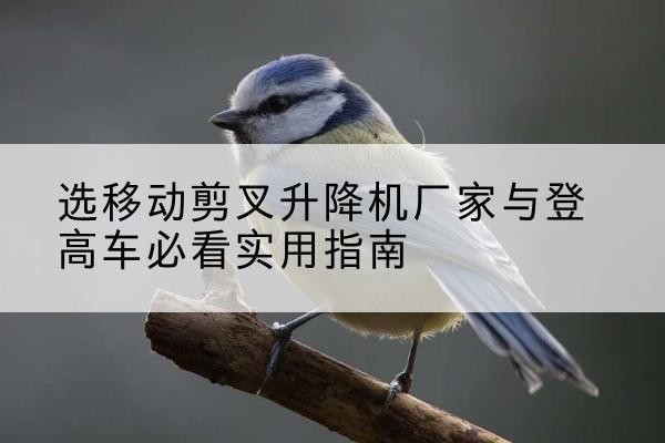 城西电动升降机厂家-选移动剪叉升降机厂家与登高车必看实用指南