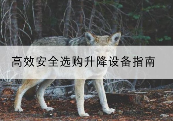 城西升降货梯厂家推荐-*安全选购升降设备指南