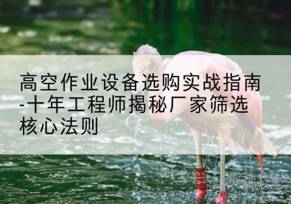 城西剪叉式升降机厂家-高空作业设备选购实战指南-十年工程师揭秘厂家筛选核心法则